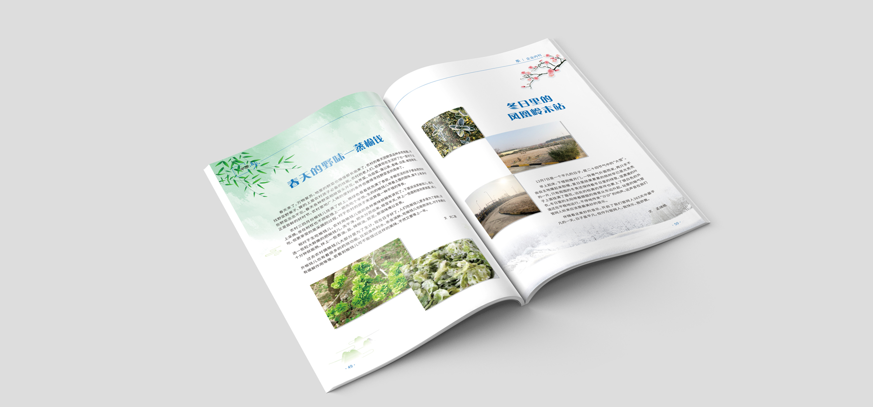 畫(huà)冊(cè)設(shè)計(jì)制作