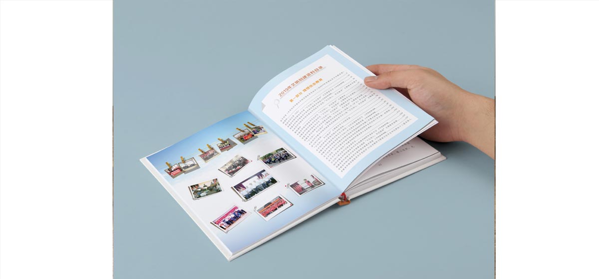 政府黨建資料書設(shè)計(jì)制作